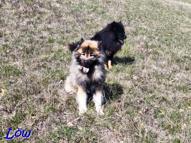 11.4.2025 - Dwix und Howard warten schon